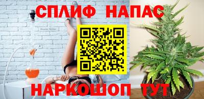 a pvp Будённовск