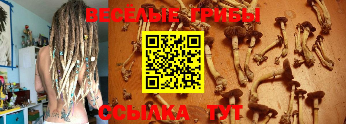 Галлюциногенные грибы MAGIC MUSHROOMS Чайковский