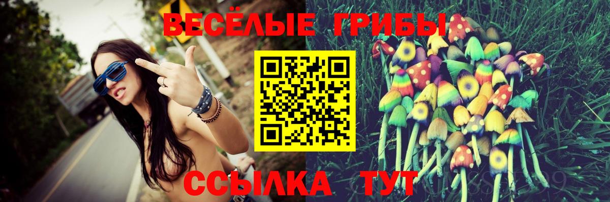 Чайковский  Галлюциногенные грибы ЛСД  Вход с VPN 